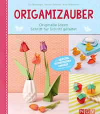Origamizauber - Originelle Ideen Schritt für Schritt gefaltet - Evi Binzinger - E-Book