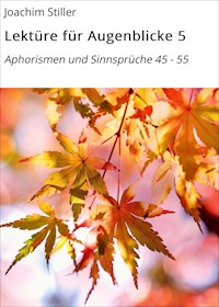 Lektüre für Augenblicke 5 - Joachim Stiller - E-Book