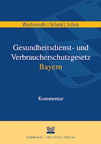 Gesundheitsdienst- und Verbraucherschutzgesetz Bayern - Hans-Joachim Wachsmuth - E-Book