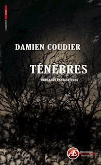 Ténèbres - Damien Coudier - E-Book