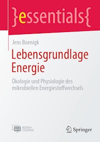 Lebensgrundlage Energie - Jens Boenigk - E-Book