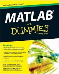 MATLAB For Dummies - Jim Sizemore - E-Book