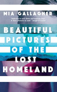 Beautiful Pictures of the Lost Homeland - Mia Gallagher - E-Book