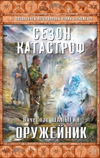 Оружейник - Вячеслав Шалыгин - E-Book
