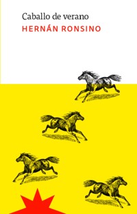 Caballo de verano - Hernán Ronsino - E-Book