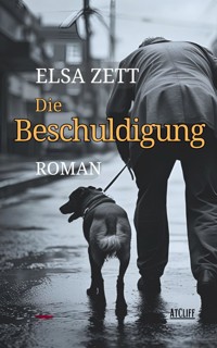 Die Beschuldigung - Elsa Zett - E-Book
