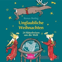 Unglaubliche Weihnachten - Renus Berbig - Hörbuch