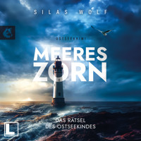 Meereszorn - Das Rätsel des Ostseekindes - Sönke Petersen, Band 2 (ungekürzt) - Silas Wolf - Hörbuch