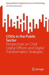 CDOs in the Public Sector - Christian Schachtner - E-Book