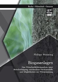 Biogasanlagen: Eine Wirtschaftlichkeitsanalyse unter Berücksichtigung verschiedener Fördermodelle und Möglichkeiten zur Wärmenutzung - Philipp Wenning - E-Book