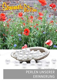 Sommer-Zeit-Reise -  - E-Book