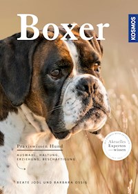 Boxer - Beate Jodl - E-Book