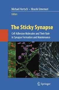 The Sticky Synapse -  - E-Book