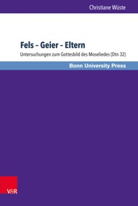 Fels – Geier – Eltern - Christiane Wüste - E-Book