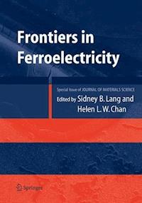 Frontiers of Ferroelectricity - Sidney B. Lang - E-Book