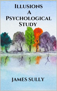 Illusions - A Psychological Study - James Sully - E-Book