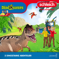 Folgen 29-30: Schrecken in der Nacht - Andreas Völlinger - Hörbuch