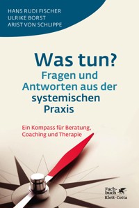 Was tun? Fragen und Antworten aus der systemischen Praxis - Hans Rudi Fischer - E-Book