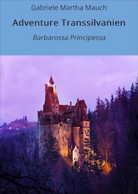Adventure Transsilvanien - Gabriele Martha Mauch - E-Book