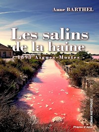 Les salins de la haine - Anne Barthel - E-Book