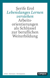 Lebenslanges Lernen verstehen - Şerife Erol - kostenlos E-Book