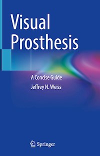 Visual Prosthesis - Jeffrey N. Weiss - E-Book