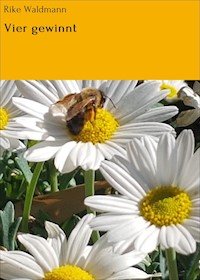 Vier gewinnt - Rike Waldmann - E-Book