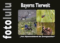 Bayerns Tierwelt - fotolulu - E-Book