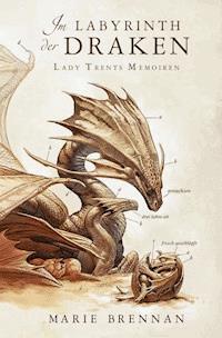 Lady Trents Memoiren 4: Im Labyrinth der Draken - Marie Brennan - E-Book