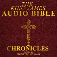 2 Chronicles - Christopher Glyn - Hörbuch