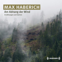 Am Abhang der Wind - Max Haberich - Hörbuch