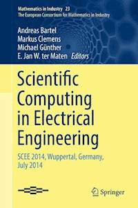 Scientific Computing in Electrical Engineering -  - E-Book