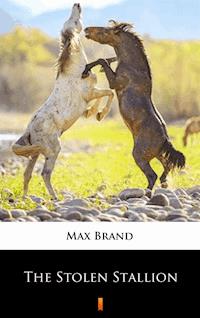 The Stolen Stallion - Max Brand - E-Book