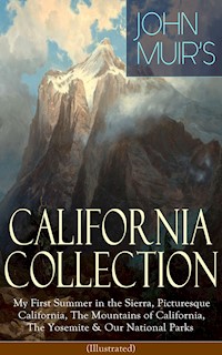 JOHN MUIR'S CALIFORNIA COLLECTION: My First Summer in the Sierra, Picturesque California, The Mountains of California, The Yosemite & Our National Parks (Illustrated) - John Muir - E-Book