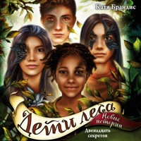 Двенадцать секретов - Катя Брандис - Hörbuch