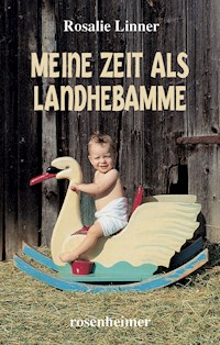 Meine Zeit als Landhebamme - Rosalie Linner - E-Book