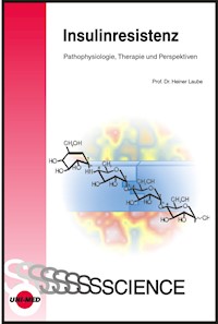 Insulinresistenz – Pathophysiologie, Therapie und Perspektiven - Heiner Laube - E-Book