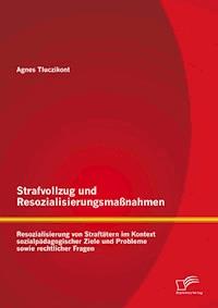 Strafvollzug und Resozialisierungsmaßnahmen: Resozialisierung von Straftätern im Kontext sozialpädagogischer Ziele und Probleme sowie rechtlicher Fragen - Agnes Tluczikont - E-Book
