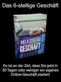 Das 6-stellige Geschäft - Stefan Giesinger - E-Book