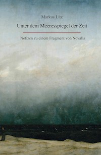 Unter dem Meeresspiegel der Zeit - Markus Litz - E-Book