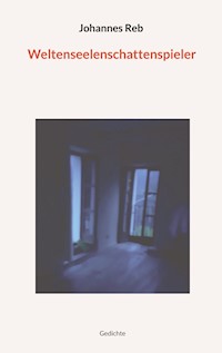 Weltenseelenschattenspieler - Johannes Reb - E-Book