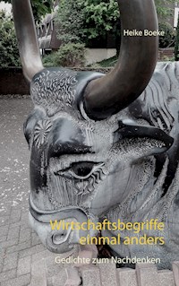 Wirtschaftsbegriffe einmal anders - Heike Boeke - E-Book