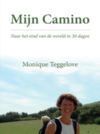 Mijn Camino - Monique Teggelove - E-Book