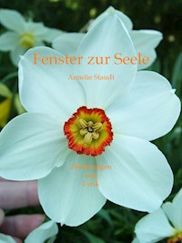 Fenster zur Seele - Annelie Staudt - E-Book