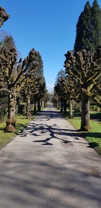 das Auge der Welt - * Terxylifax - E-Book