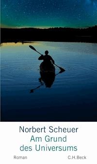 Am Grund des Universums - Norbert Scheuer - E-Book