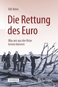 Die Rettung des Euro - Olli Rehn - E-Book