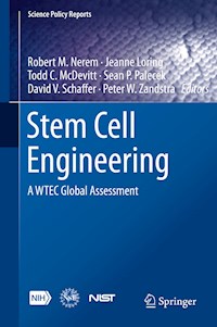 Stem Cell Engineering - - E-Book
