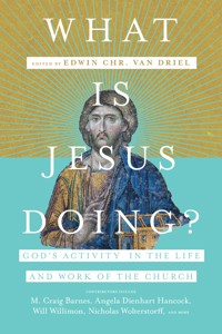 What Is Jesus Doing? -  - E-Book