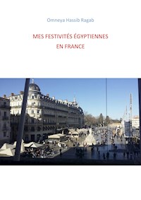 Mes festivités égyptiennes en France - Omneya Hassib Ragab - E-Book